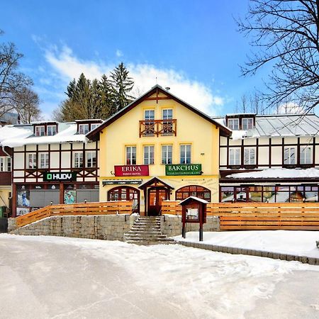 Hotel Erika Špindlerŭv Mlýn Екстериор снимка