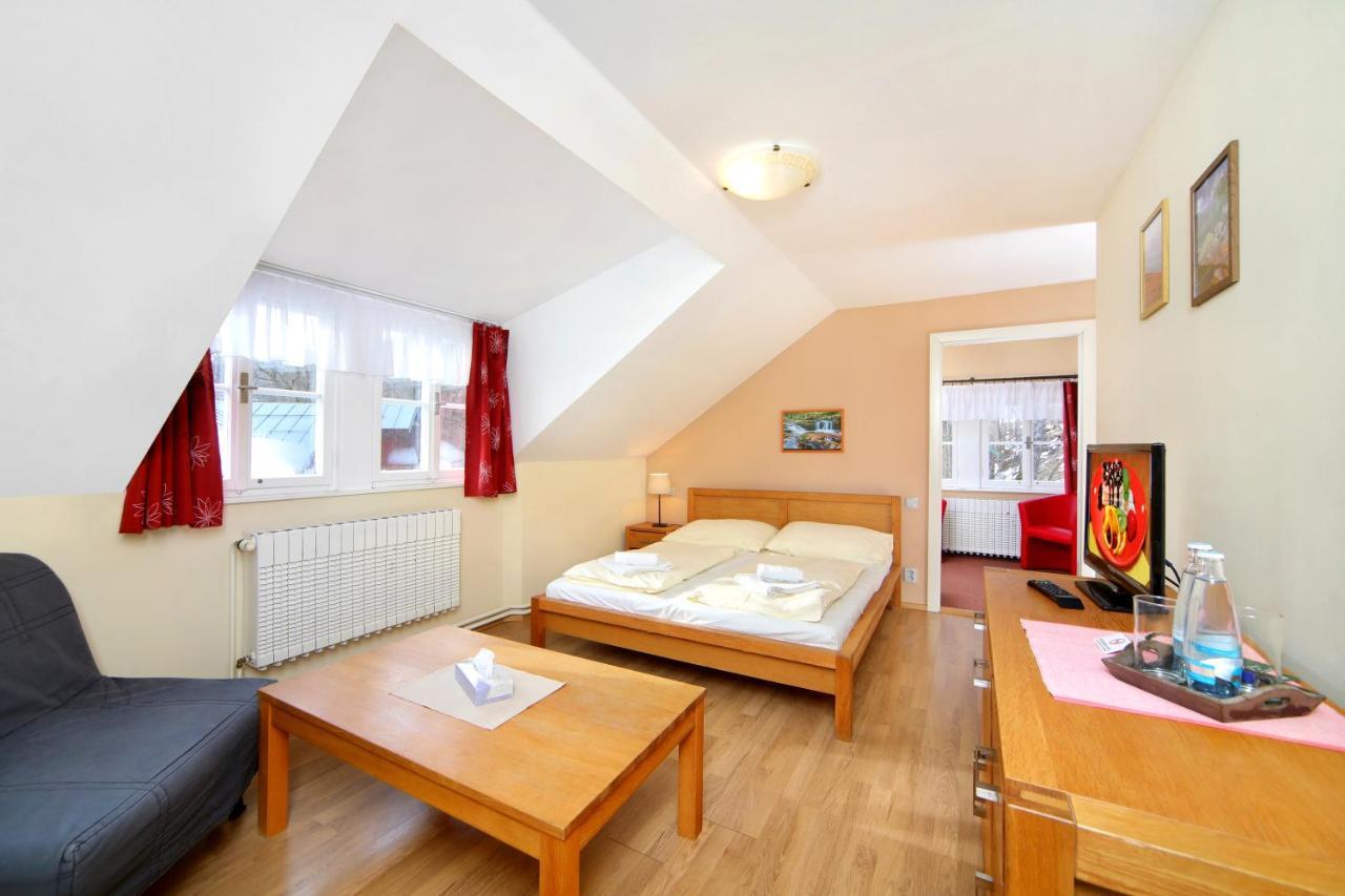 Hotel Erika Špindlerŭv Mlýn Екстериор снимка