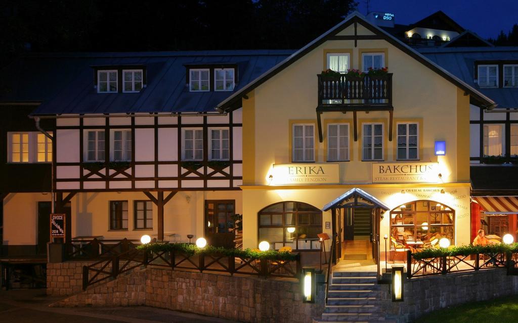 Hotel Erika Špindlerŭv Mlýn Екстериор снимка